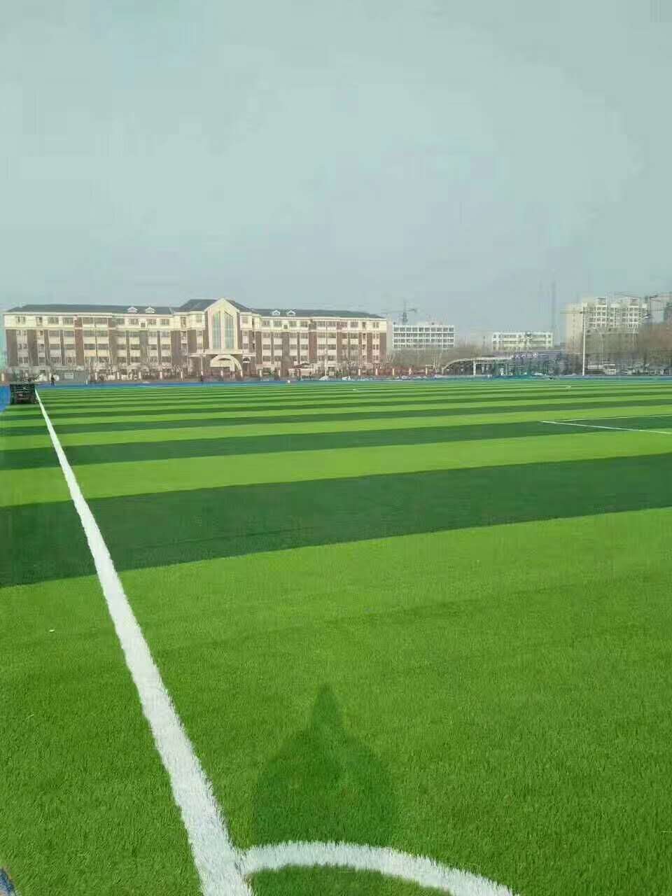 陇南市新国标塑胶跑道仿真草坪 - 排名